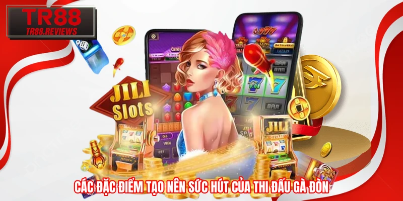 Các đặc điểm tạo nên sức hút của thi đấu gà đòn