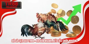 Đá Gà Cựa Dao TR88 – Ra Đòn Nhanh, Kết Liễu Chớp Nhoáng 