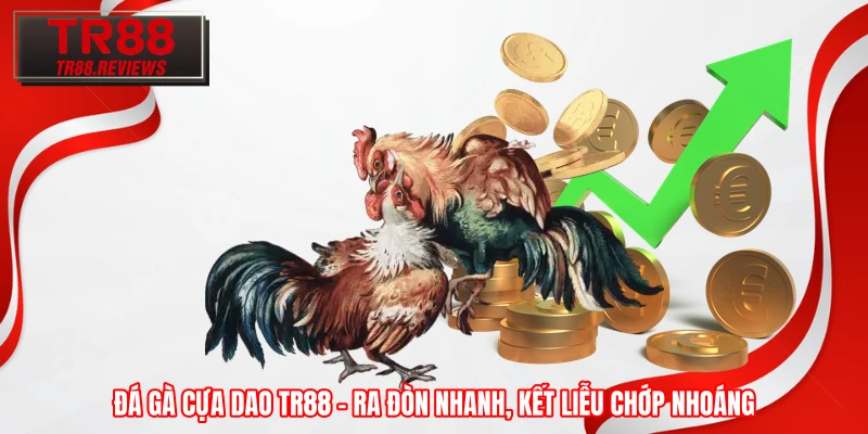 Đá Gà Cựa Dao TR88 – Ra Đòn Nhanh, Kết Liễu Chớp Nhoáng 