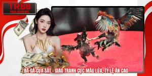 Đá Gà Cựa Sắt – Giao Tranh Cực Máu Lửa, Tỷ Lệ Ăn Cao