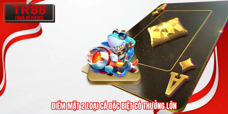 Điểm mặt 2 loại cá đặc biệt có thưởng lớn
