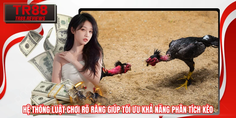Hệ thống luật chơi rõ ràng giúp tối ưu khả năng phân tích kèo