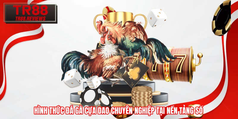 Hình thức đá gà cựa dao chuyên nghiệp tại nền tảng số