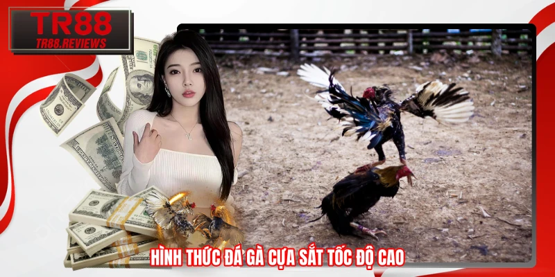 Hình thức đá gà cựa sắt tốc độ cao