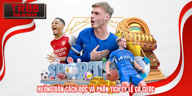 Hướng dẫn cách đọc và phân tích tỷ lệ cá cược