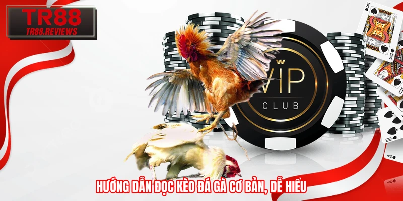 Hướng dẫn đọc kèo đá gà cơ bản, dễ hiểu Hướng dẫn đọc kèo đá gà cơ bản, dễ hiểu