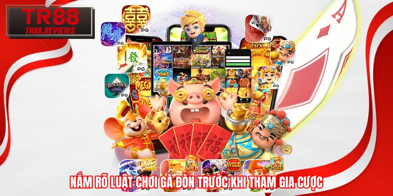 Nắm rõ luật chơi gà đòn trước khi tham gia cược