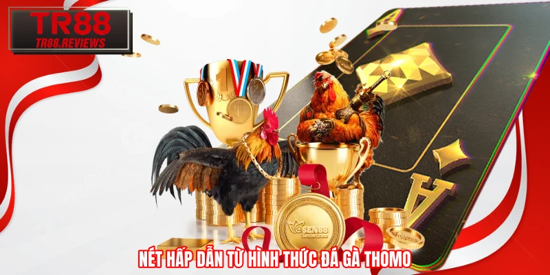 Nét hấp dẫn từ hình thức đá gà Thomo