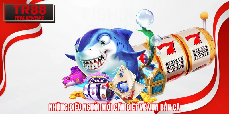 Những điều người mới cần biết về Vua Bắn Cá